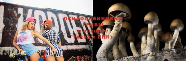 ALPHA PVP Богородск