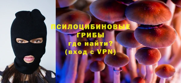 ALPHA PVP Богородск