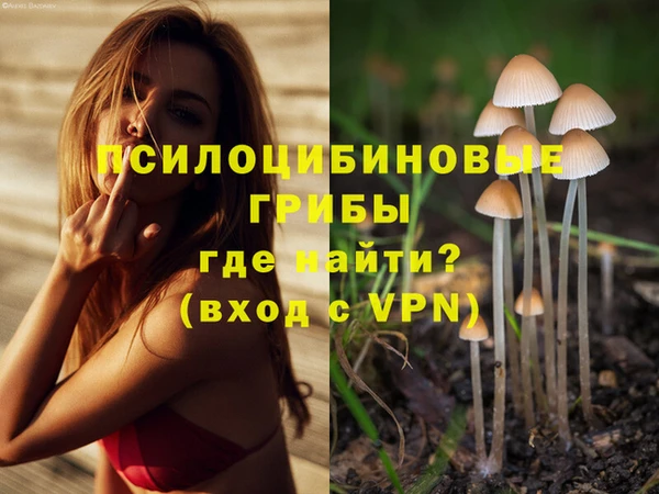 гидропоника Белоозёрский