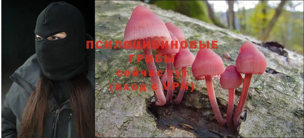 гашишное масло Богданович