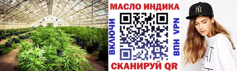 Дистиллят ТГК концентрат Нахабино
